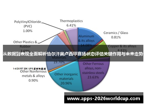 从数据到表现全面解析恰尔汗奥卢西甲赛场状态评估关键作用与未来走势
